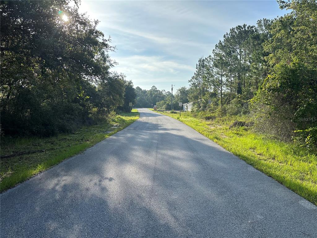 A paved road stretches forward between dense trees and grassy shoulders under a sunny sky — 112 WARMOUTH LANE, POINCIANA, FL