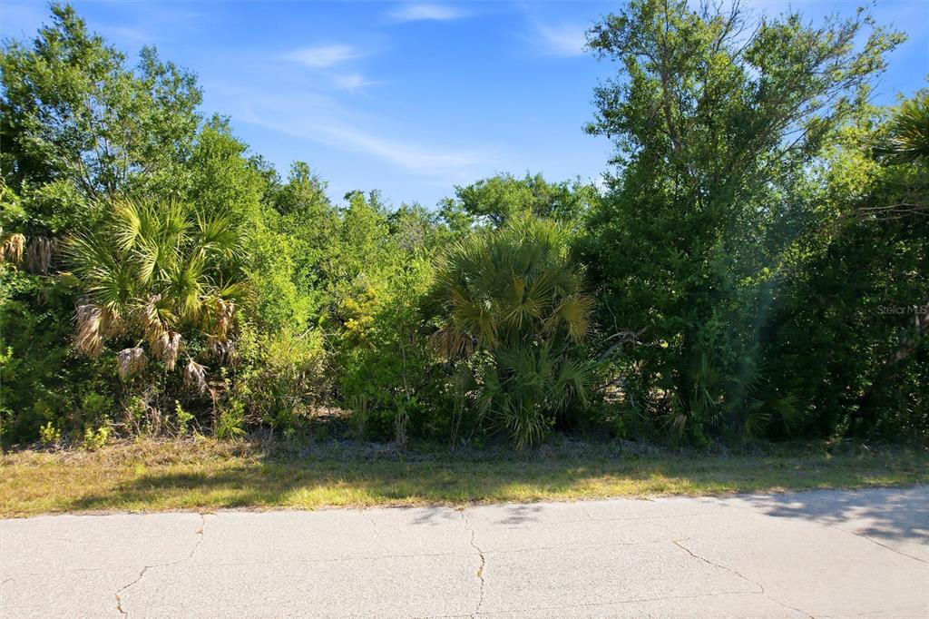 A paved road runs in front of a dense, wooded lot with various trees and palms — 7095 FREEBERG CIRCLE, PORT CHARLOTTE, FL