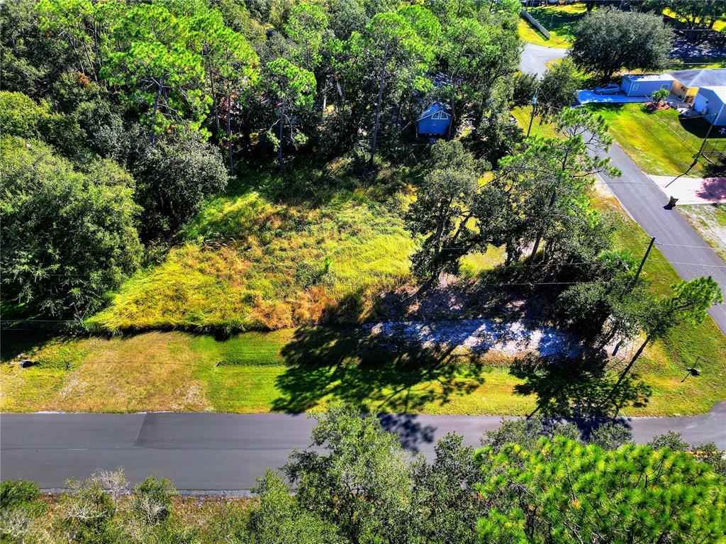 0 INTERCESSION CITY, INTERCESSION CITY, FL — photo 4 of 14