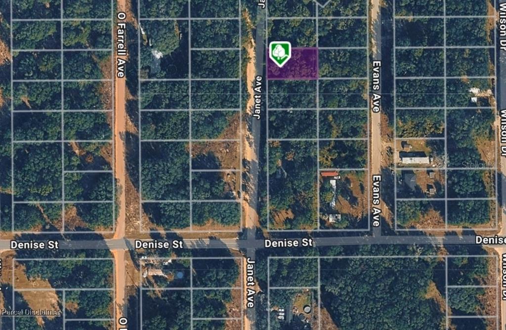 An aerial map view shows a highlighted rectangular parcel of land between two streets — LOT 3 JANET AVENUE, INTERLACHEN, FL