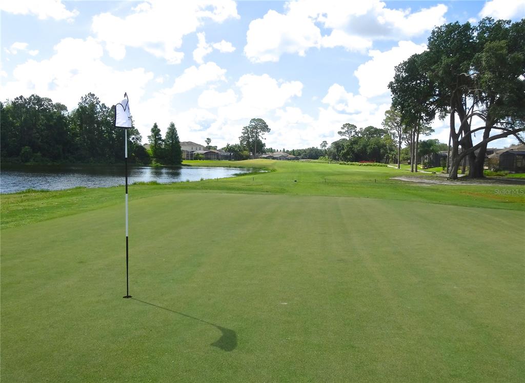 A golf course green with a flagstick overlooks a pond and a distant fairway — 200 EAGLE RIDGE DRIVE, DAVENPORT, FL