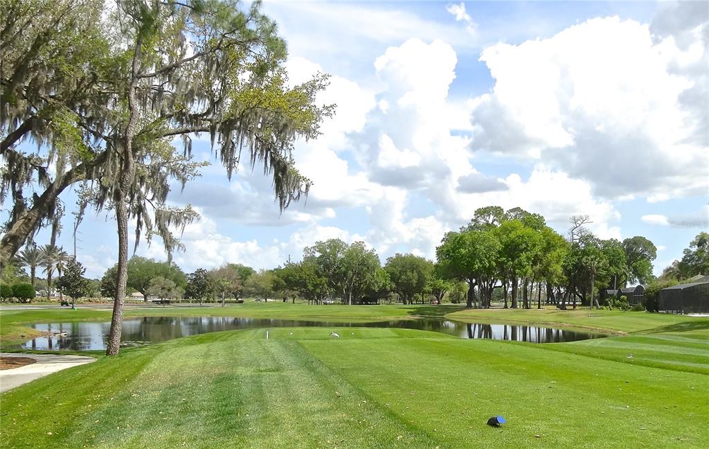 A view of a golf course fairway with a pond and mature trees under clouds — 200 EAGLE RIDGE DRIVE, DAVENPORT, FL
