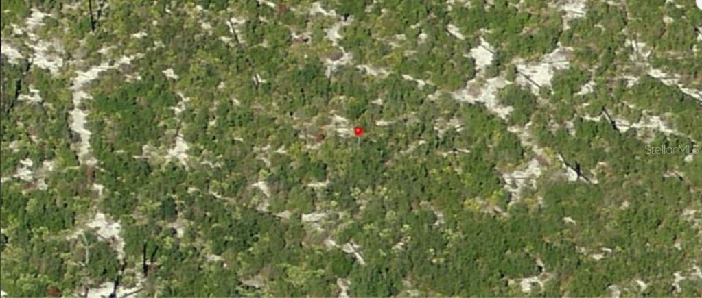 HOLOPAW GROVES ROAD, ST CLOUD, FL — photo 3 of 5