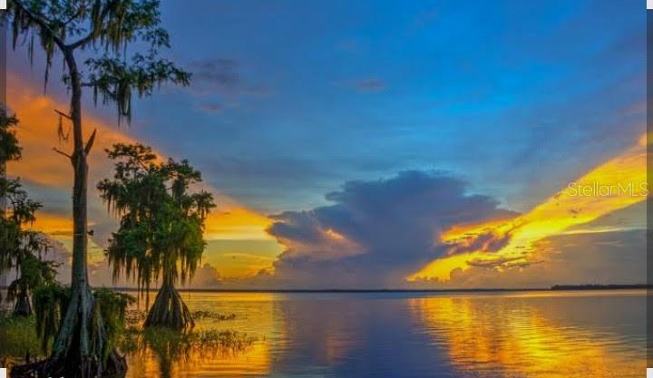 A scenic view of a lake at sunset with cypress trees in the foreground — 450 KEMPER AVENUE, LAKE PLACID, FL