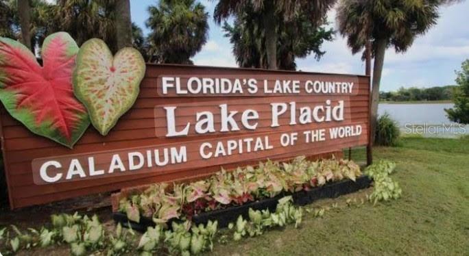 A wooden sign for Lake Placid, Florida, features large decorative caladium leaves and landscaping — 450 KEMPER AVENUE, LAKE PLACID, FL