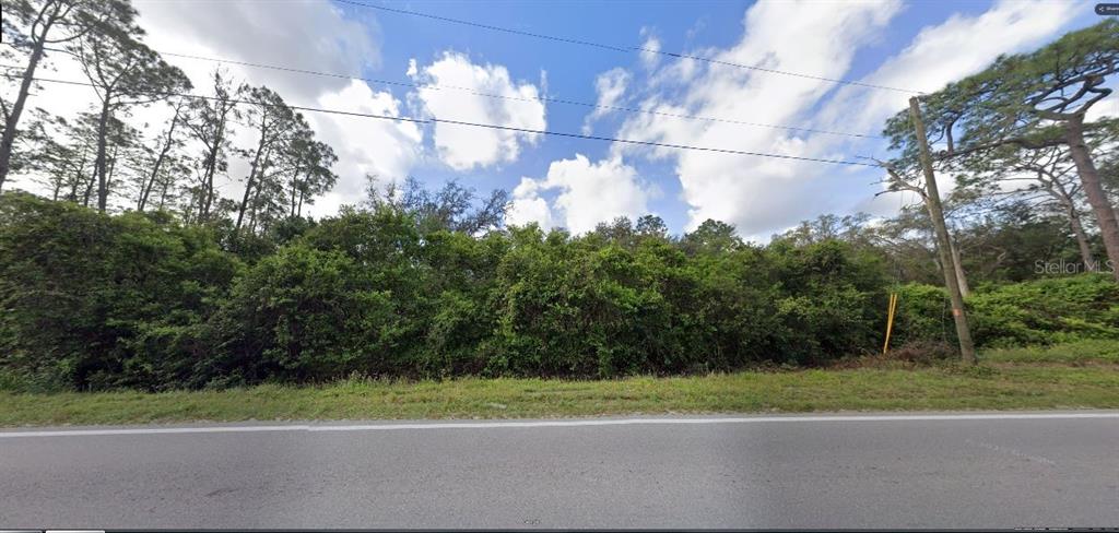A view of a densely wooded, undeveloped lot bordering a paved road — DEEN STILL ROAD, POLK CITY, FL