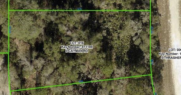 This is an aerial map view showing a wooded, rectangular plot of land — CAYMAN ROAD, WEEKI WACHEE, FL