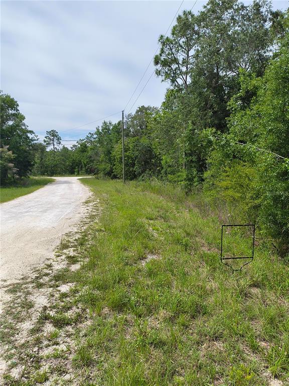 A dirt road runs alongside a grassy lot with trees and a metal sign frame — CAYMAN ROAD, WEEKI WACHEE, FL