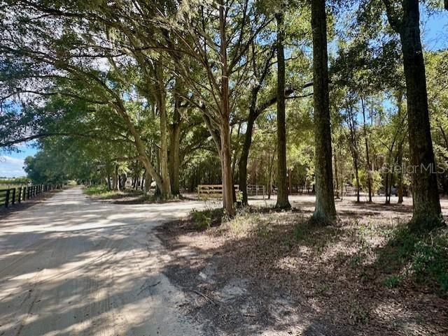 SW 20TH STREET, BELL, FL — photo 2 of 15