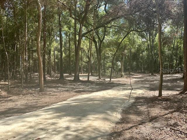 SW 20TH STREET, BELL, FL — photo 4 of 15
