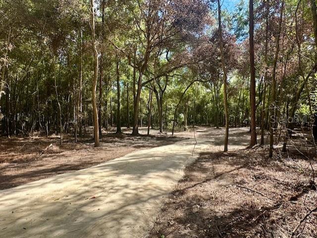SW 20TH STREET, BELL, FL — photo 5 of 15