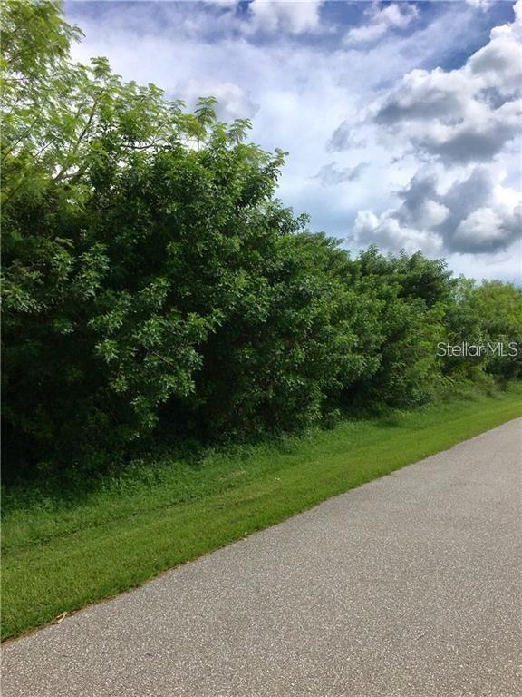 A paved road runs alongside a grassy verge and a dense line of green trees — 12739 BACCHUS ROAD, PORT CHARLOTTE, FL