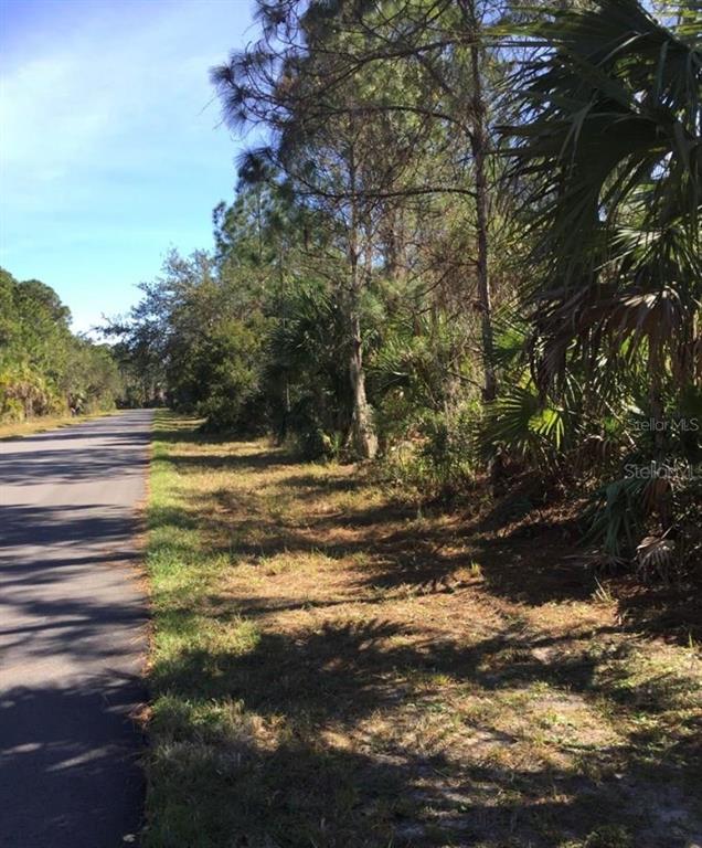 A paved road runs alongside a wooded lot with trees and palmetto bushes — 14423 MADDOCK AVENUE, PORT CHARLOTTE, FL