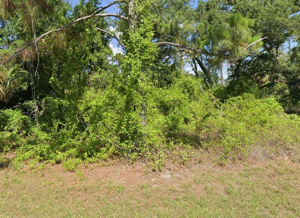 A dense, overgrown wooded area with a large tree covered in vines — 7373 SIOUX STREET, PORT CHARLOTTE, FL