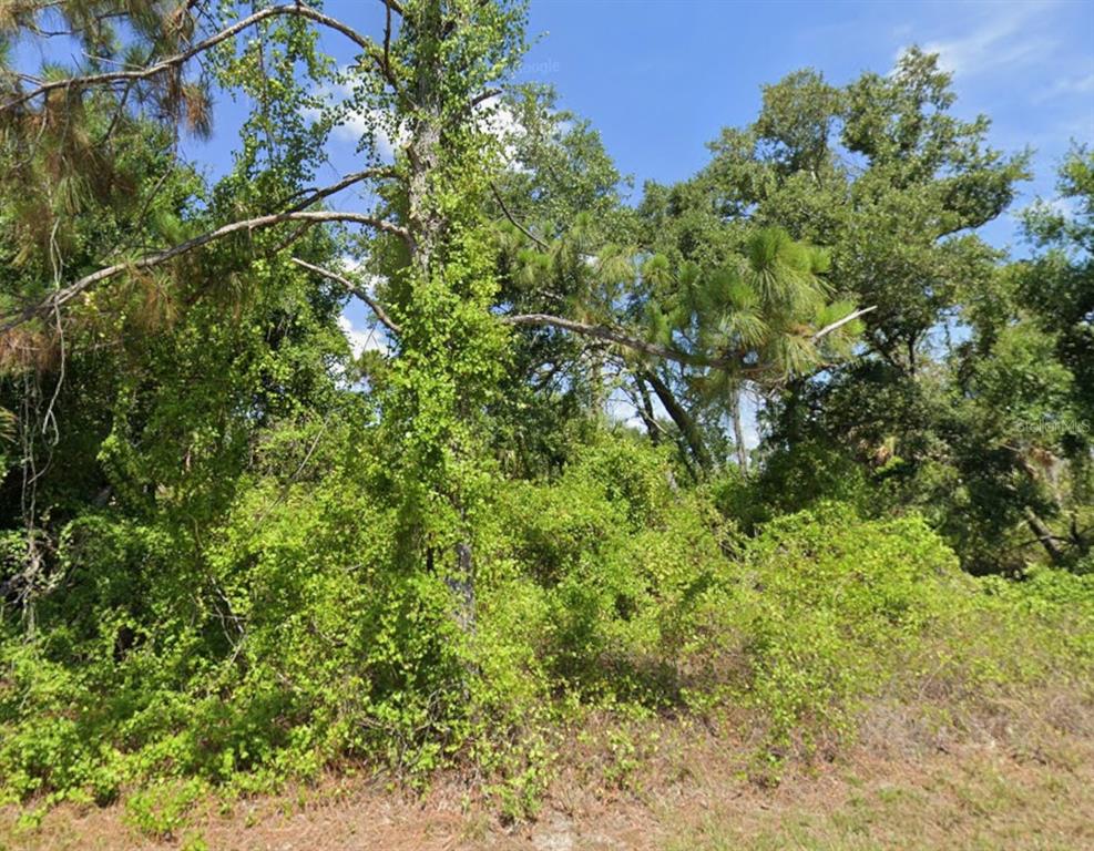 A dense, wooded lot features tall pine and oak trees covered in thick green undergrowth — 7373 SIOUX STREET, PORT CHARLOTTE, FL