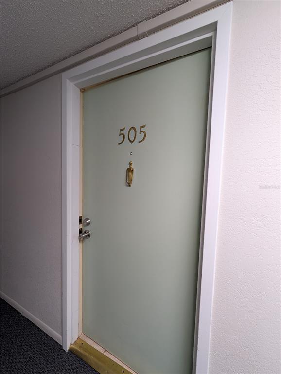 A light green apartment door labeled 505 features a brass knocker and two silver locks — 255 DOLPHIN POINT UNIT 505, CLEARWATER BEACH, FL