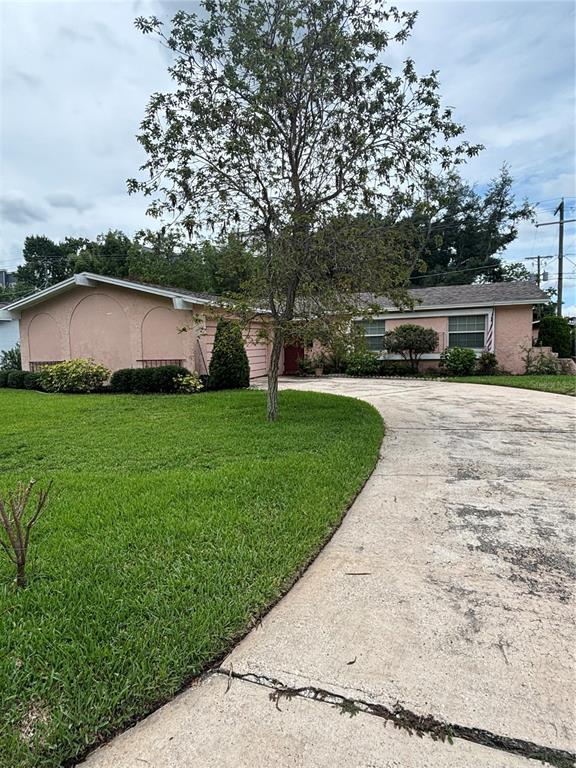 A single-story peach-colored house features a large tree in the front yard and a driveway — 2709 E 122ND AVENUE, TAMPA, FL
