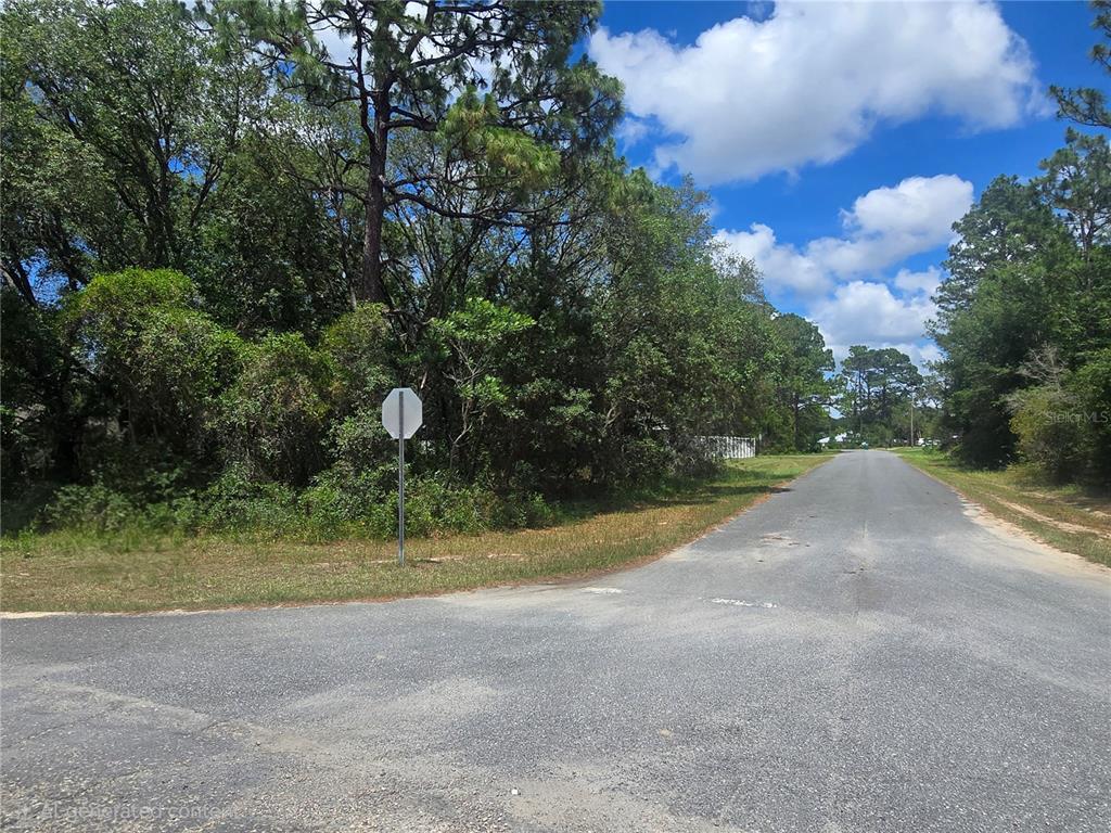 A paved road leads toward a wooded lot with a stop sign at the intersection — 8467 N EMPIRE AVENUE, CITRUS SPRINGS, FL