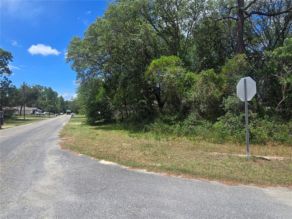 A paved road leads past a wooded, undeveloped lot with a stop sign — 8467 N EMPIRE AVENUE, CITRUS SPRINGS, FL