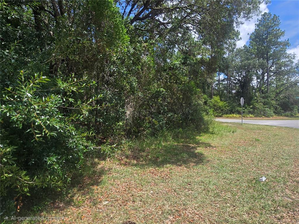 A grassy lot with dense trees and bushes sits beside a paved road — 8467 N EMPIRE AVENUE, CITRUS SPRINGS, FL