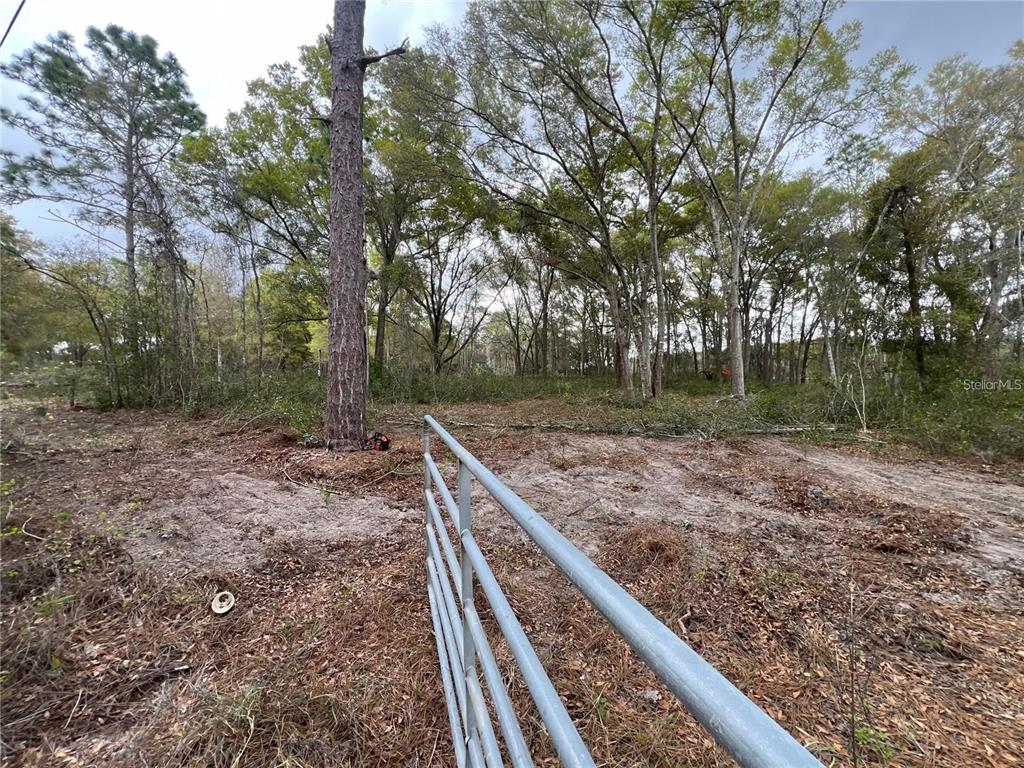 A metal gate opens to a cleared, wooded lot with sandy soil and tall trees — 15574 ROCKINGHAM LANE, SPRING HILL, FL