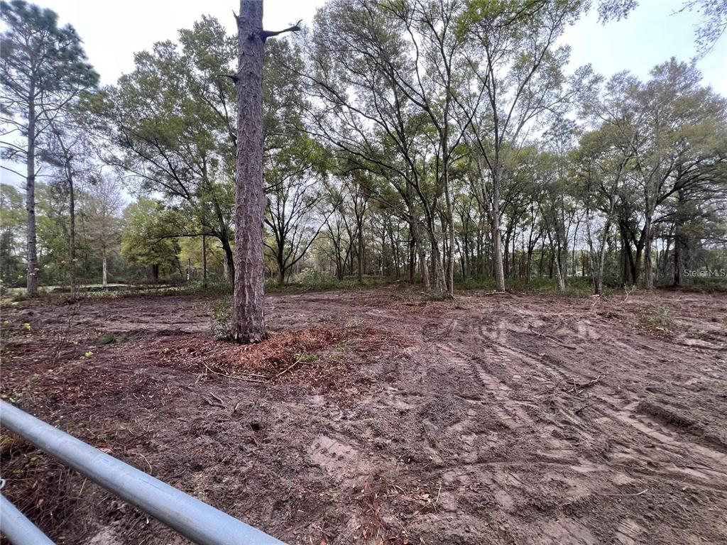 A cleared, muddy lot with scattered trees and a metal fence in the foreground — 15574 ROCKINGHAM LANE, SPRING HILL, FL