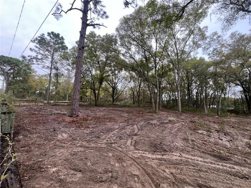 A cleared, muddy lot with scattered trees and a wooden fence on the left — 15574 ROCKINGHAM LANE, SPRING HILL, FL