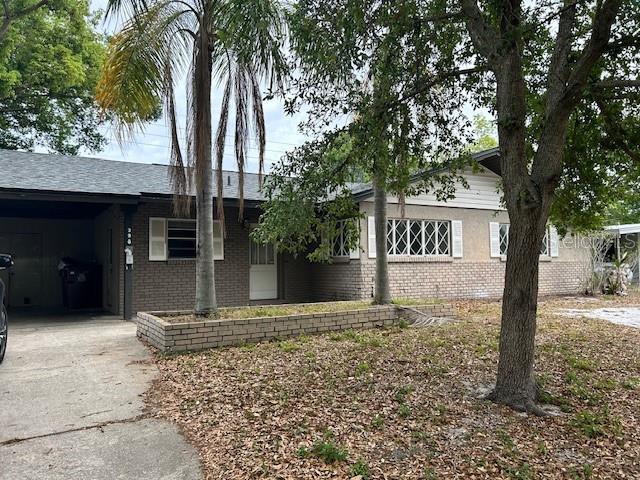 3901 IBIS DRIVE
