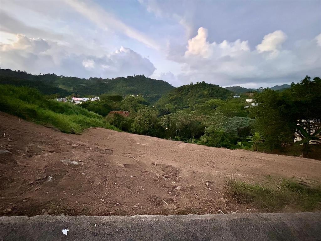 A sloped, cleared dirt lot overlooks a lush, mountainous landscape under a cloudy sky — 164 St. km 4.4 BO. NUEVO, NARANJITO, PR