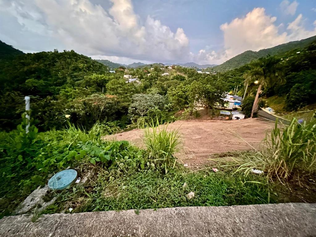 A cleared dirt lot overlooks a lush, mountainous landscape with scattered houses under a cloudy sky — 164 St. km 4.4 BO. NUEVO, NARANJITO, PR
