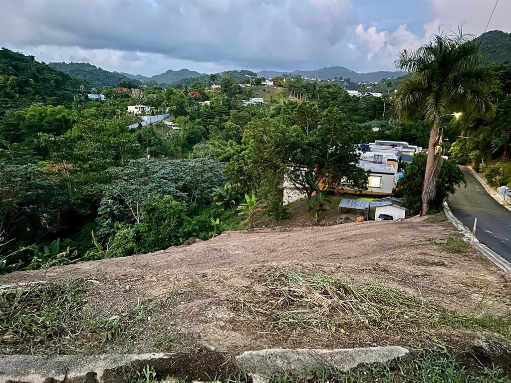 A sloped, cleared dirt lot overlooks a lush valley with houses and a paved road — 164 St. km 4.4 BO. NUEVO, NARANJITO, PR