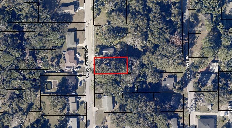 This is an aerial map view showing a vacant lot outlined in red — 2735 HARRY T MOORE AVENUE, MIMS, FL