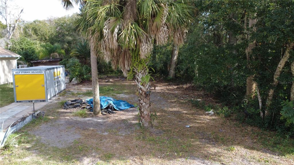 A storage container sits on a dirt lot next to a palm tree and trees — 2735 HARRY T MOORE AVENUE, MIMS, FL