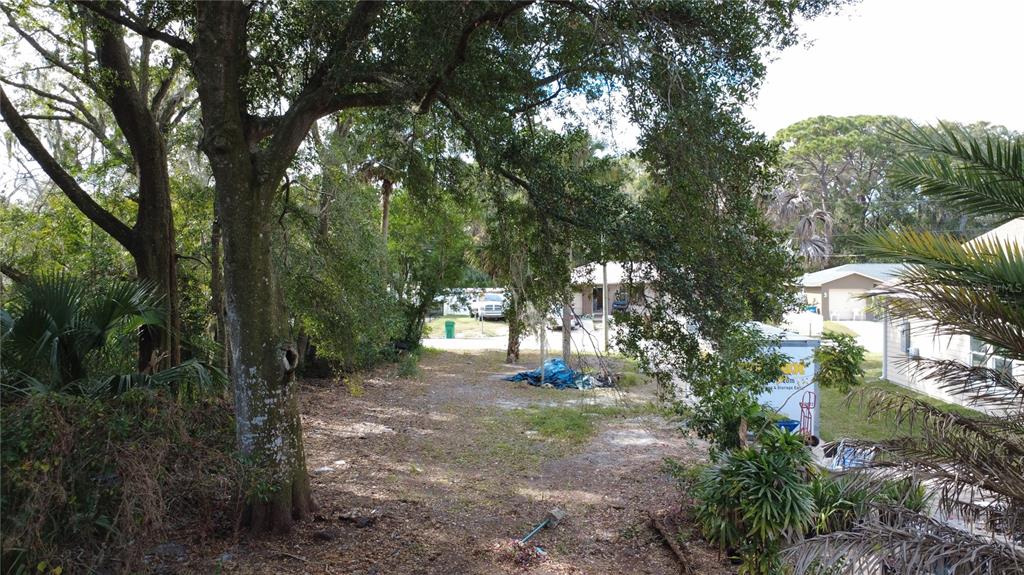 A wooded, unpaved lot sits between two houses with a large tree in the foreground — 2735 HARRY T MOORE AVENUE, MIMS, FL