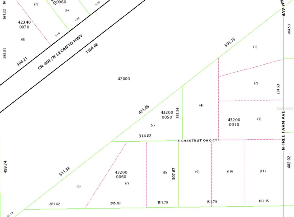 This is a land survey map showing property parcel boundaries and road frontages — 6630 N TREEFARM AVENUE, BEVERLY HILLS, FL