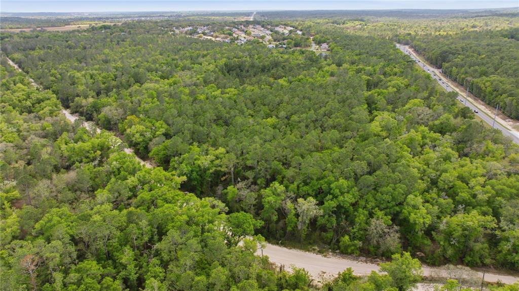 An aerial view shows a large, wooded plot of land bordered by roads and houses — 6630 N TREEFARM AVENUE, BEVERLY HILLS, FL