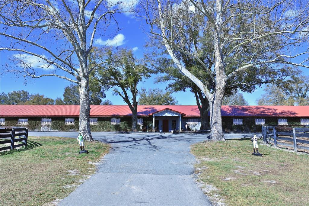 A long, single-story stable building with a red metal roof sits behind two large trees — 6692 NW 150TH AVENUE, MORRISTON, FL