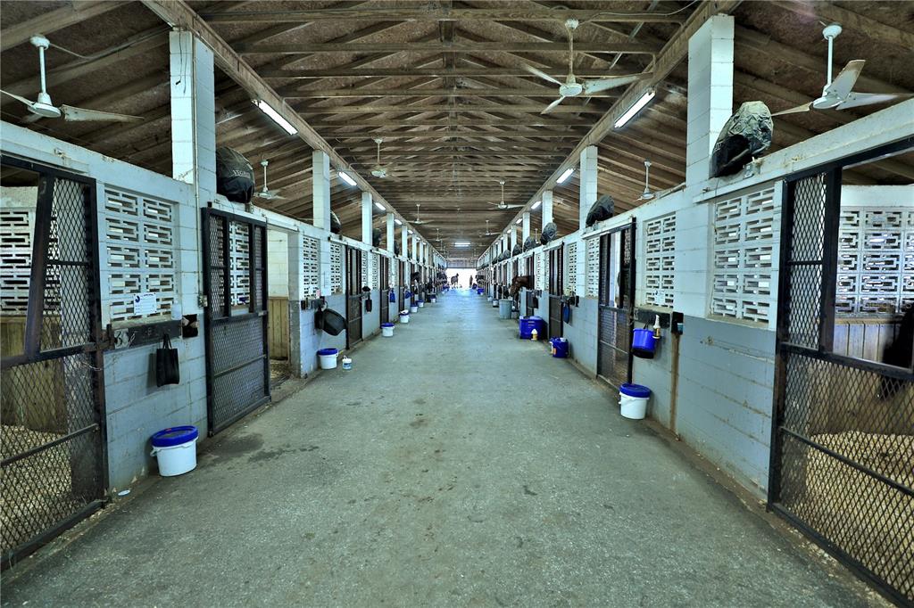 A long, central aisle of a horse stable features rows of stalls with metal gates — 6692 NW 150TH AVENUE, MORRISTON, FL
