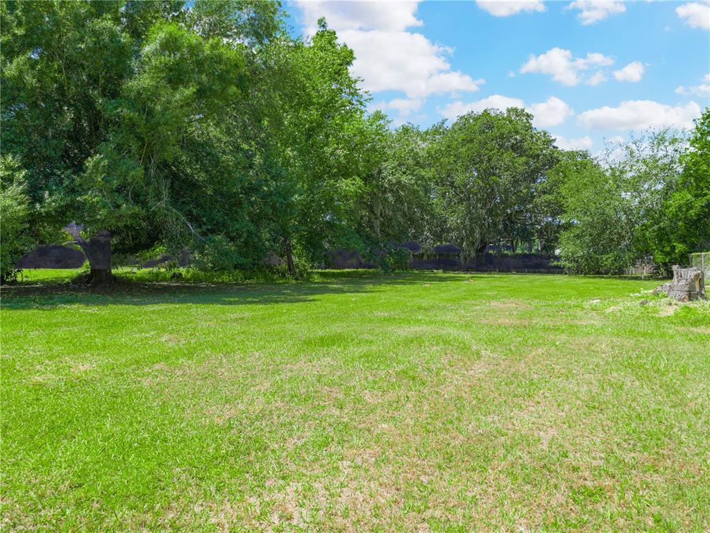LANIER AVENUE, FORT MEADE, FL — photo 4 of 22