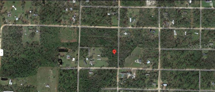 This is an aerial map view of a wooded residential lot marked with a red pin — GARDENIA STREET, FOUNTAIN, FL