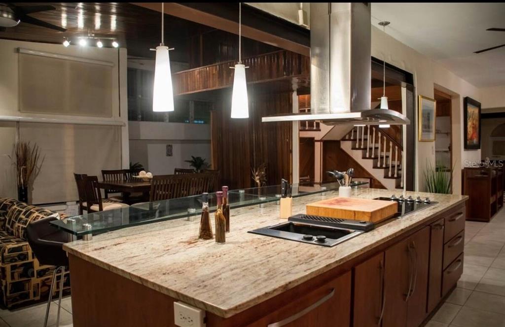 A kitchen island with a granite countertop and stainless steel range hood in an open-concept home — 14 PALMA DE SIERRA, CAROLINA, PR