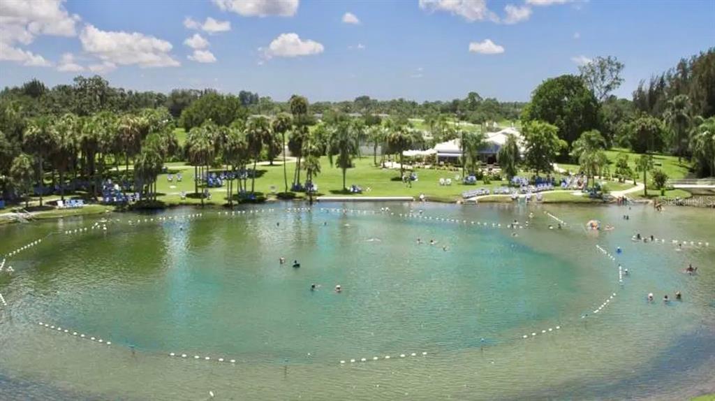 An aerial view of a natural spring swimming area surrounded by palm trees and grass — AZALEA LANE, NORTH PORT, FL