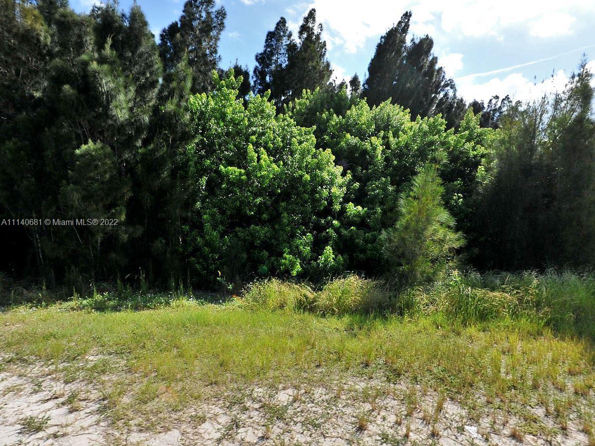 A grassy lot is bordered by a dense line of tall trees and shrubs — 50 Savannah Rd, Fort Pierce FL 34982, FORT PIERCE, FL