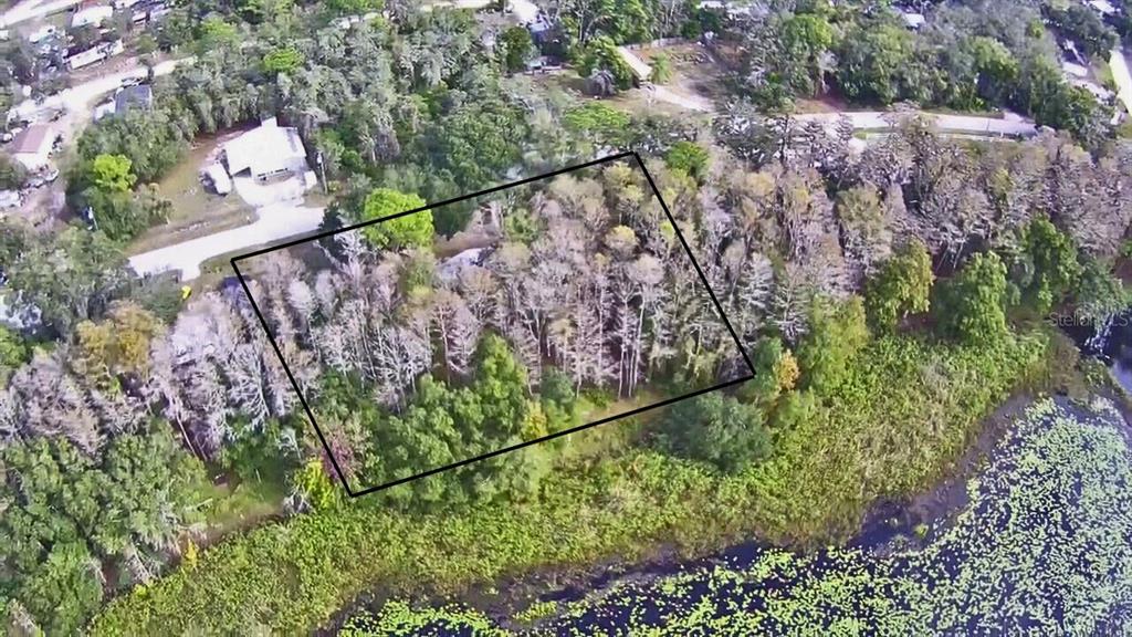 An aerial view shows a wooded, rectangular lot bordering a lake with lily pads — 9867 JEROME DRIVE, NEW PORT RICHEY, FL