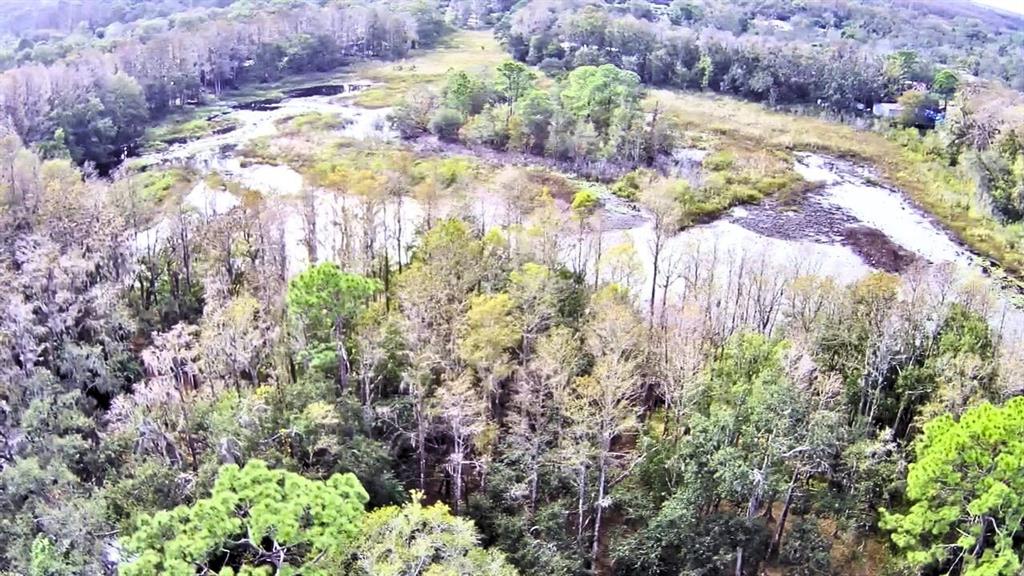 An aerial view shows a wooded wetland area with trees surrounding a shallow, reflective waterway — 9867 JEROME DRIVE, NEW PORT RICHEY, FL