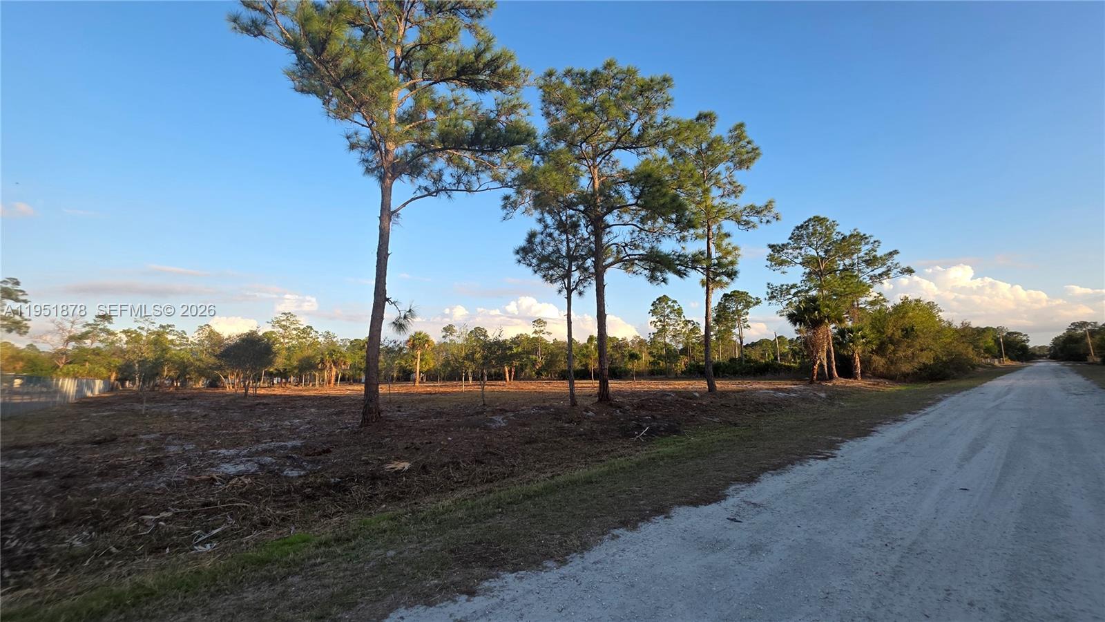 A dirt road runs alongside a cleared, grassy lot with several tall pine trees — 545 S Datil ST, Clewiston FL 33440, CLEWISTON, FL