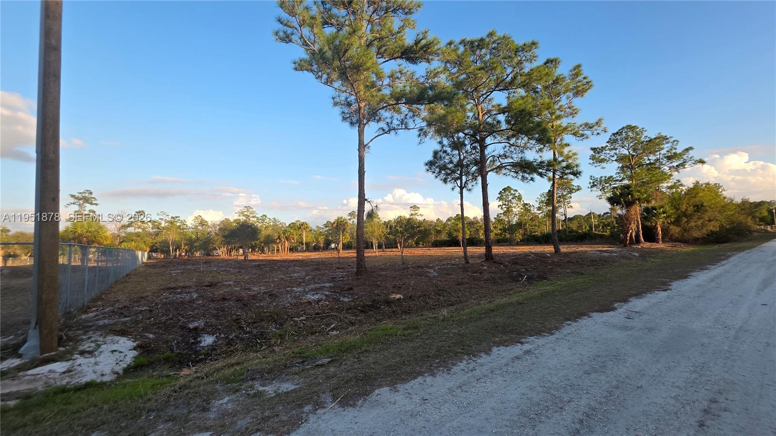 A cleared, flat, vacant lot features several tall pine trees and a dirt road — 545 S Datil ST, Clewiston FL 33440, CLEWISTON, FL