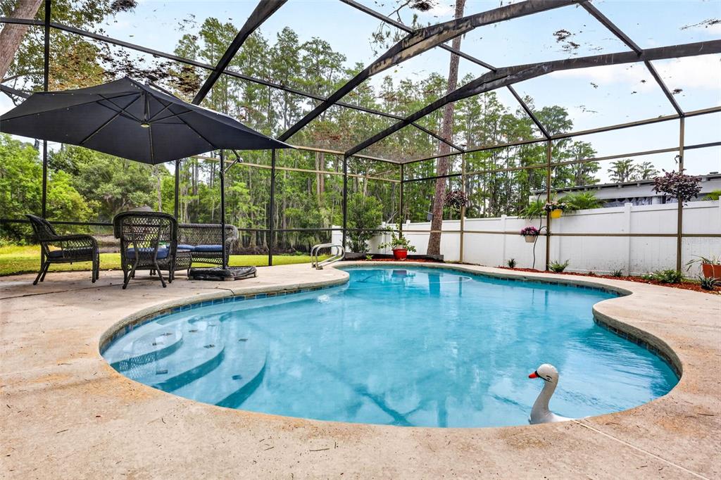 A screened-in pool area features a patio with outdoor furniture and a swan pool float — 910 HILLSIDE DRIVE, LUTZ, FL