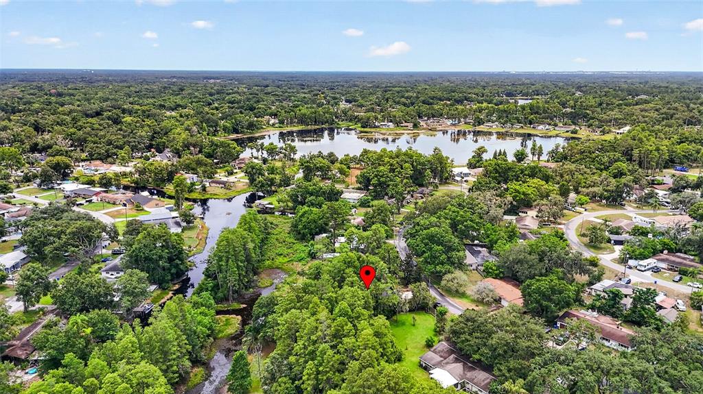 An aerial view shows a wooded residential area with a lake and a red location pin — 910 HILLSIDE DRIVE, LUTZ, FL