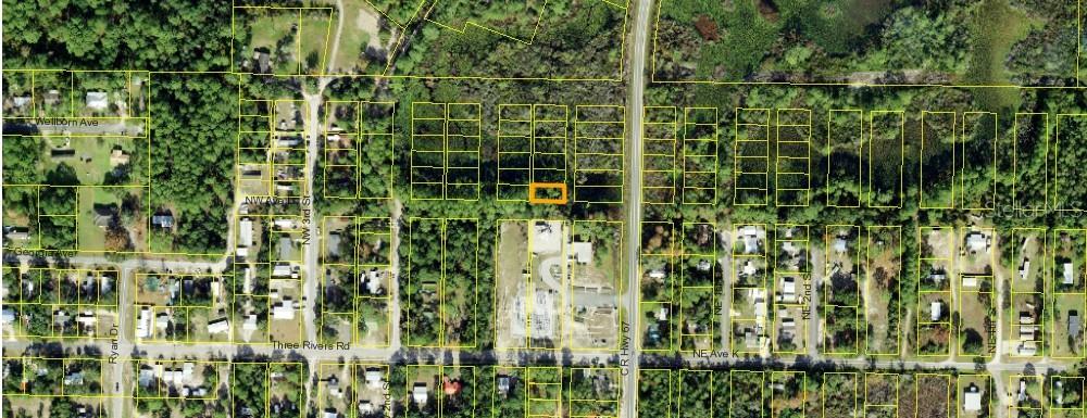 An aerial map shows a highlighted rectangular parcel of land surrounded by wooded residential lots — 1301 COPESETIC STREET, CARRABELLE, FL